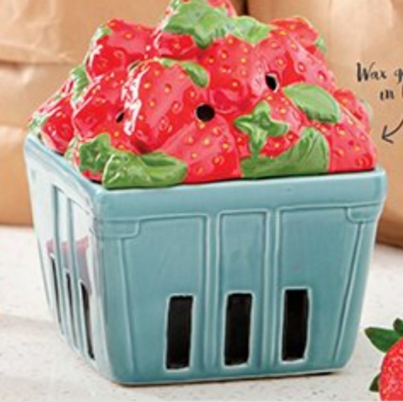 Wax warmer strawberry basket
